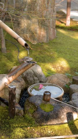 Static medium shot of a bamboo water fountain tipping in a mossy Japanese garden