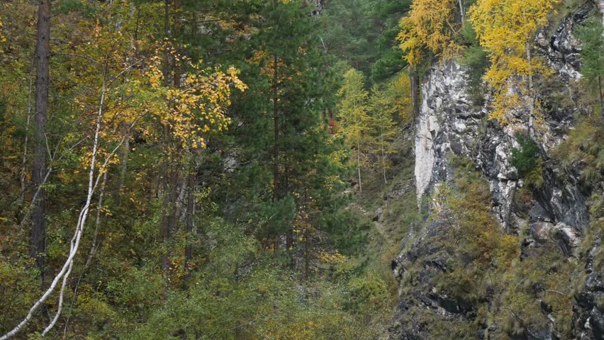 Landscape of the Siberian mountains on a bright sunny day in late golden autumn.