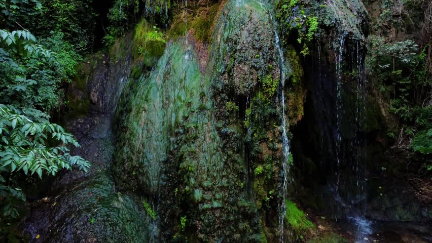 Static shot of moss covered rock waterfall trickling and cascading in forest gorge with lush vegetation.