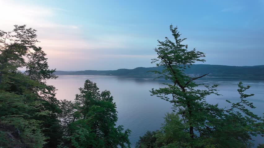 Panoramic Lake Landscape Through Forest Trees With Calm Water