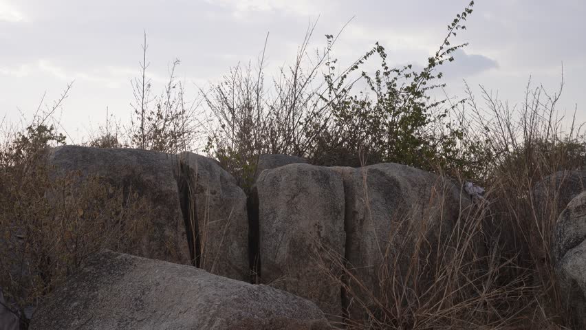 Rocky landscape with dry vegetation and natural stone formations in an outdoor environment.