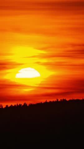 Timelapse of the sunset over the treetops. High quality 4k footage