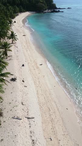 Tropical Beach with Palm Trees and Turquoise Water
