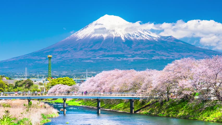 "Ryuganbuchi" is a famous tourist spot in Shizuoka. In spring, you can see the spectacular view of cherry blossoms and Mount Fuji. - Shizuoka, Japan - Time lapse video - fix
