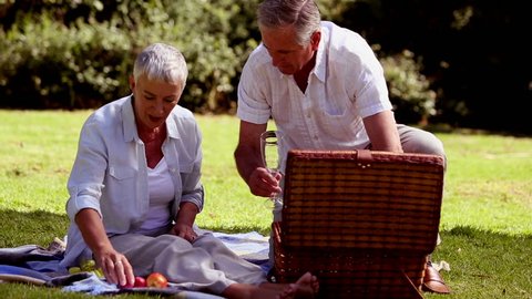 Mature couple having a picnic with white wine in a park