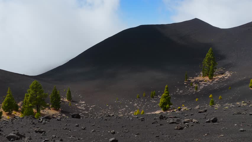 Volcanic Craters and Pine Forest in La Palma - Ruta de los Volcanes Aerial View