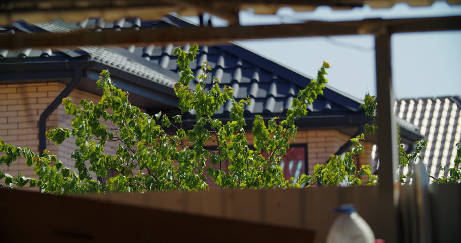 Village house behind green garden trees