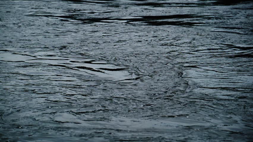 Dark, rippling water surface with soft, natural movement. Raindrops fall, creating small ripples and reflections. Moody, cinematic atmosphere perfect for intros, transitions, or nature scenes