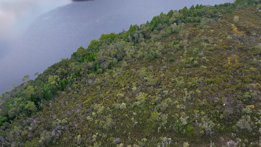 Woods on shores of Dove lake in Cradle Mountain national park of Tasmania – aerial lift.