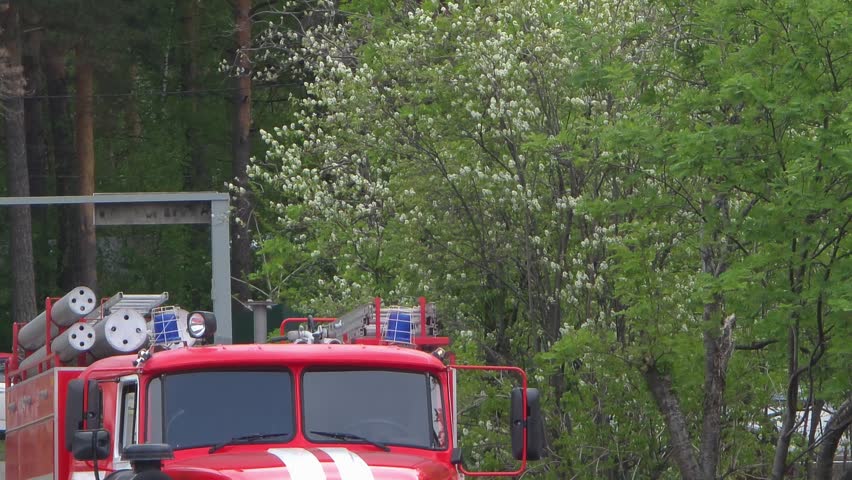Red fire engine with flashing blue warning light driving near green forest. Emergency vehicle responding to incident. Equipment for fire rescue activity in nature.