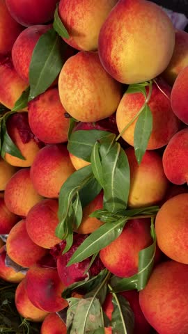 Juicy peach pile, Fresh ripe peach pile with leaf, pile of fresh ripe peach fruit, Peach background, summer fruit