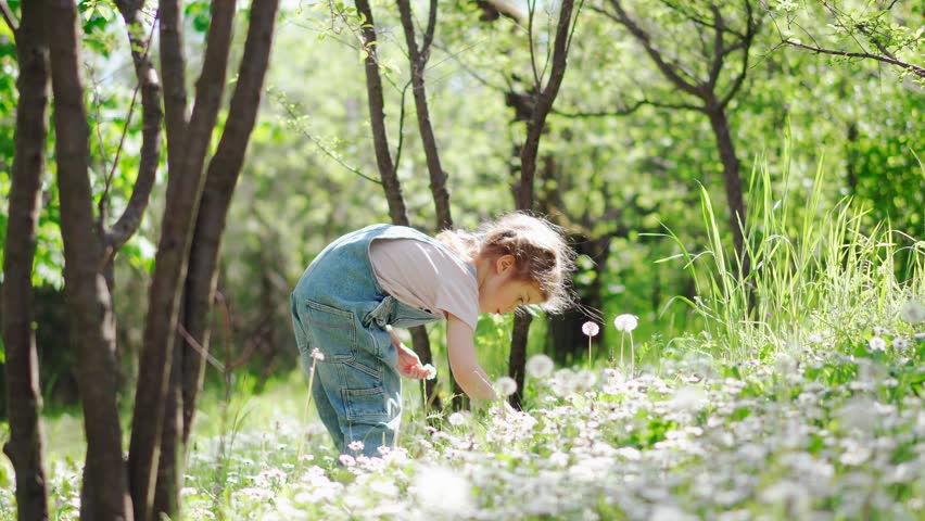 Happy five-year-old girl picking wildflowers in a sunny summer meadow. Carefree childhood, freedom, nature exploration and joyful outdoor moments.