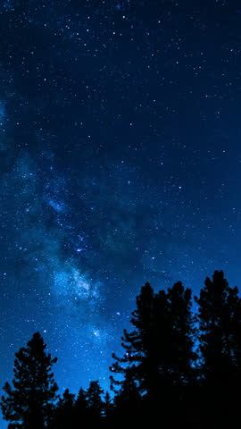 Vertical Shot Star Trails of Milky Way Galaxy July in South Sky Above Trees Palomar Mountain San Diego Astrophotography Time Lapse in California USA