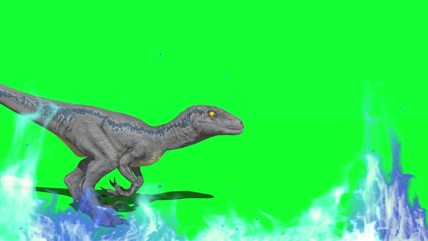 Dinosaur running with fireworks on green screen background, chroma key prehistoric monster overlay