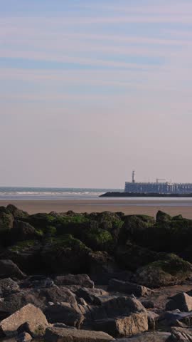 Vertical view of the serene Nieuwpoort beach in Belgium, with mossy rocks in the foreground and the distant pier under a calm sky.