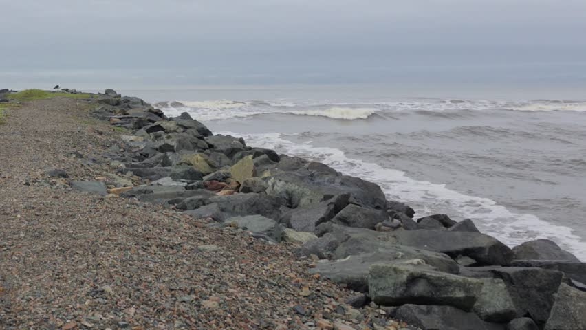 Seagull perched on a rocky breakwater taking off and flying away on a cloudy day