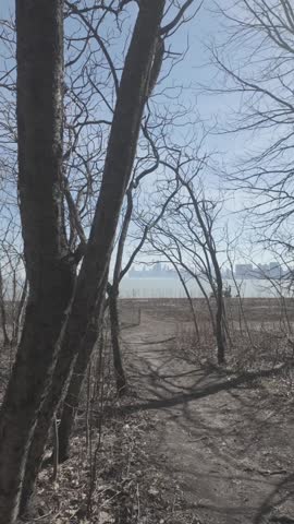 A park in Chicago in early spring with no snow and no leaves as people walk along the lakefront of Lake Michigan,
