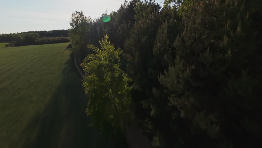 Dynamic FPV drone footage over forested landscape and cultivated fields near Nowy Lubiel, Poland. Fast-paced aerial perspective capturing
