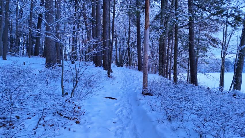 Drone getting inside a frozen forest during winter, extreme temperatures next to an icy lake, Harold Parker State Forest, Massachusetts
