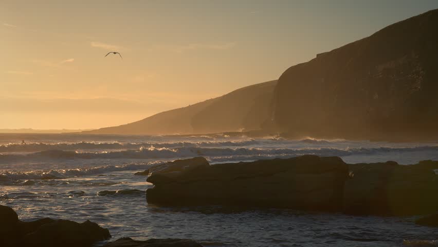 Seagull Soaring Over Sunlit Waves and Rocky Shoreline at Sunset 4K Perfect for travel and nature projects.