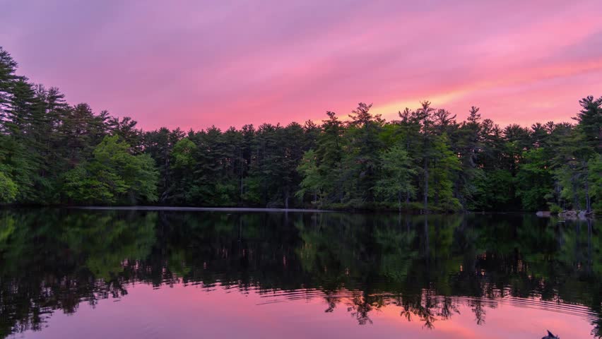 Time-lapse shot of Harold Parker State Forest lakeside landscape during beautiful vivid and late sunset moment, North Andover, Massachusetts, US