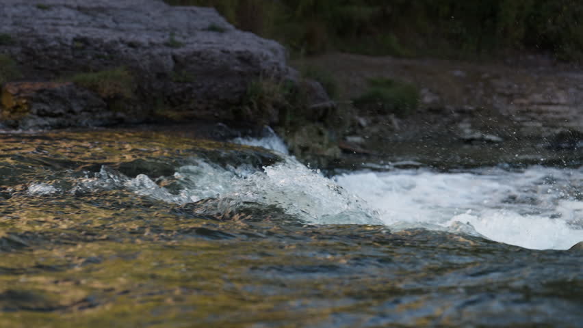 A salmon jumps through the churning white foam of the Ganaraska River in Port Hope during the fall spawning season. Slow motion captures the chaotic water textures and the determined movement.