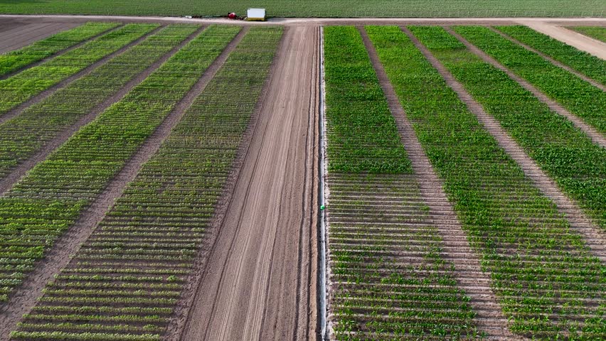 Aerial view of a large agricultural field divided into multiple trial plots with different crops. Straight rows of green plants and dirt roads