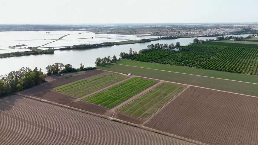 Expansive aerial footage showcasing green cultivated fields, plowed land, and lush orchards alongside the Guadalquivir river in Andalusia