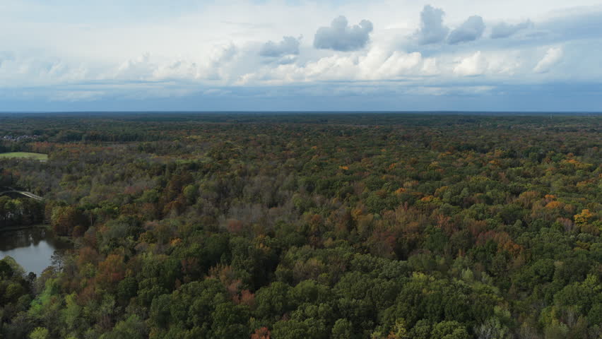 Dense Autumn Forest Trees At W.C. Johnson Park In Collierville, Tennessee, United States. Aerial Drone Shot