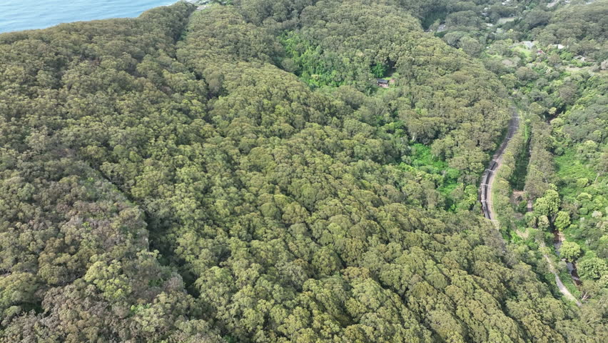 Aerial view of forest covered coastal mountains in South New South Wales Australia overlooking blue ocean under clear sky with natural landscape extending to horizon