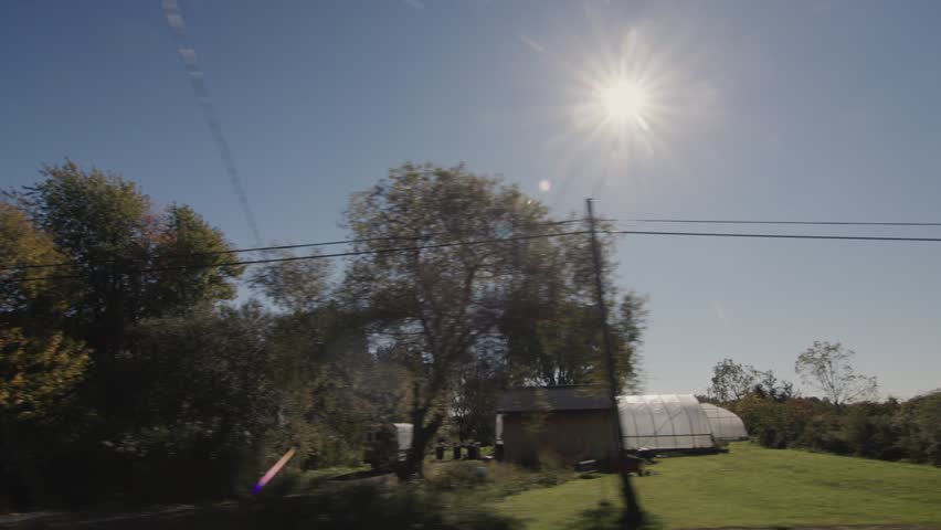 Sunlight rays through autumn trees during scenic rural drive.