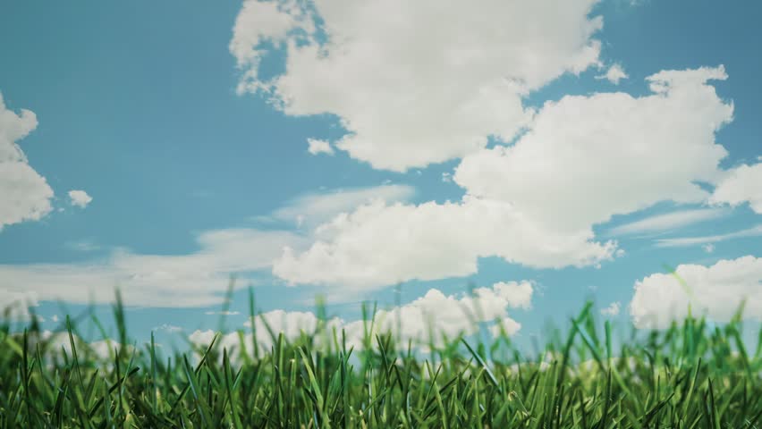 Green grass blowing in wind with blue sky and moving clouds.