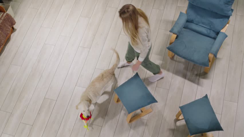 Girl playing with dog indoors, fun, active, domestic animals.
