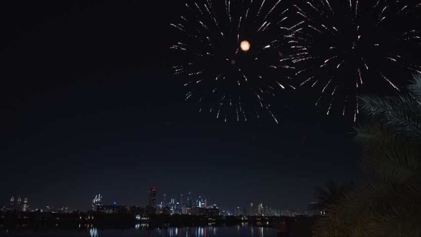 Colorful fireworks illuminate the night sky above Dubai cityscape with vibrant red green and white bursts. Palm tree silhouettes frame the scene as explosions reflect on calm water below.