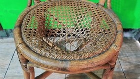 Detailed view of a broken vintage rattan chair featuring a heavily damaged and torn woven wicker seat against a vibrant green background. This image represents concepts of furniture restoration, antique repair, wear and tear of natural materials, and the need for traditional craftsmanship upkeep. - Powered by Shutterstock - Get 15% off with code: PIKWIZARD15