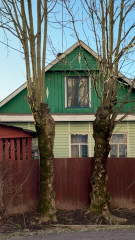 Two poplars without leaves front wooden cottage with green roof and red fence, spring day sky blue, quiet asphalt road, mossy