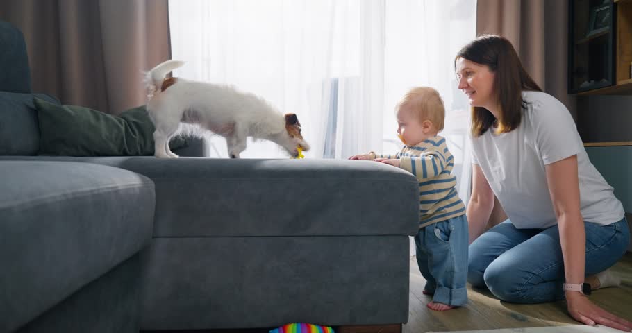 A joyful interaction between a toddler and a small dog playing with a toy on a gray ottoman, while a smiling woman watches closely in a bright living room environment
