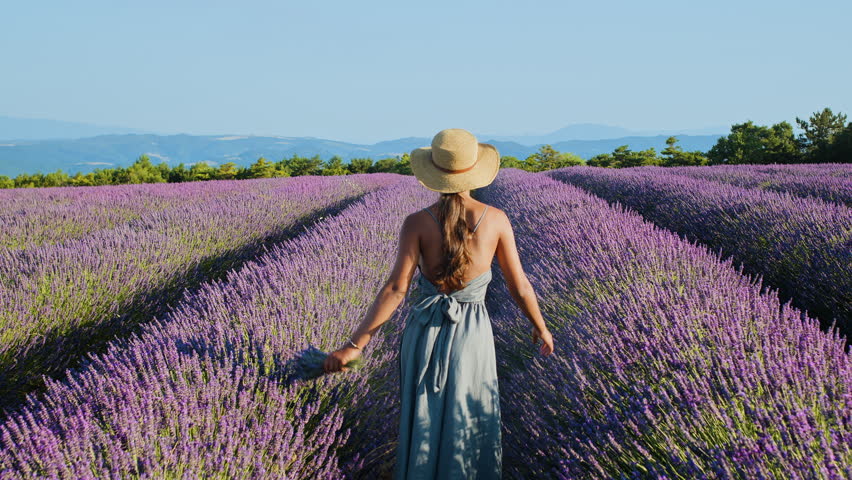 Girl is running through fragrant lavender bushes in the countryside landscape. Perfect scene for wellness, travel and skincare themes.
