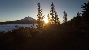 Beautiful sunrise shining through tall evergreen pine trees in a peaceful mountain landscape. Golden sunlight illuminates the natural scenery, creating a serene outdoor atmosphere with forest silhouettes, distant mountains, and a tranquil wilderness environment. - Powered by Shutterstock - Get 15% off with code: PIKWIZARD15