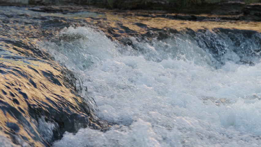 A salmon battles the current in the Ganaraska River during the autumn spawning run in Port Hope, Ontario.