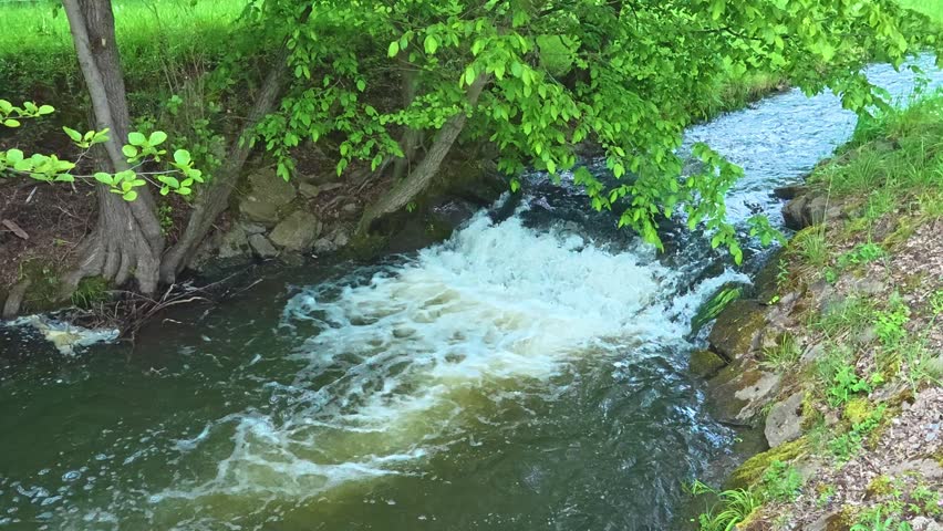 Water flowing quickly in a small river with rapids surrounded by fresh green foliage in a park