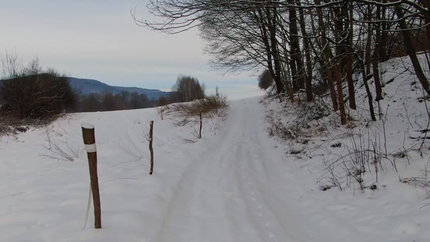 Snowy Path Through the Mountains