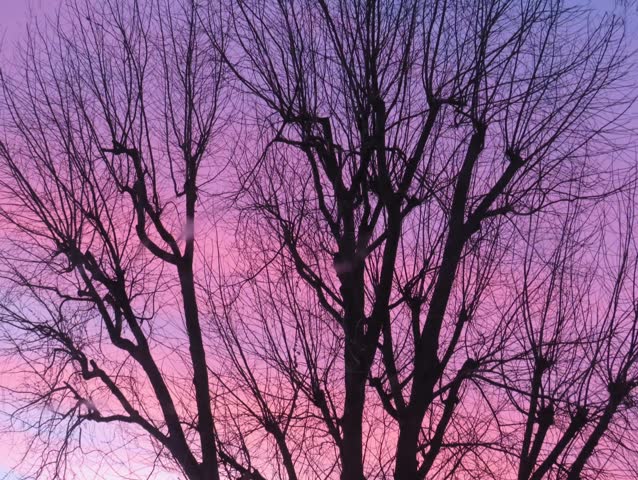 Beautiful skies late afternoon view 