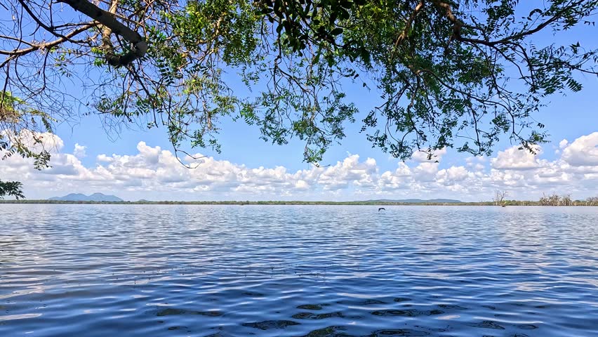 Panoramic Lake View Framed by Tree Branches Under Blue Sky With Clouds and Rippling Water Scene