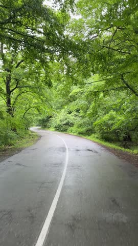 A wet asphalt road with a white dividing line winds through a dense, lush green forest under an overcast sky in Dagestan, Russia