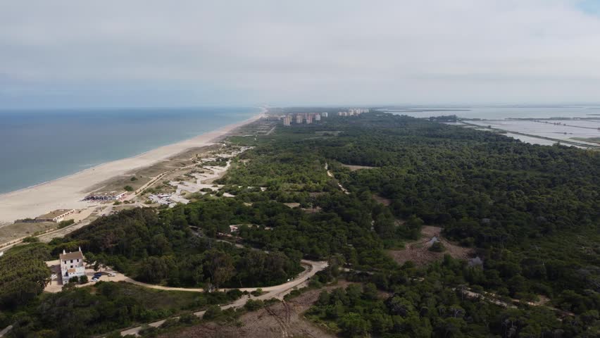 4K high-altitude drone video showing the Devesa strip in Albufera Natural Park, Valencia, Spain. It captures the stunning contrast between the Mediterranean Sea, sandy beach, and dense vegetation