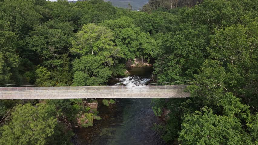 Suspension bridge connecting forest banks over the lerez river in galicia, spain