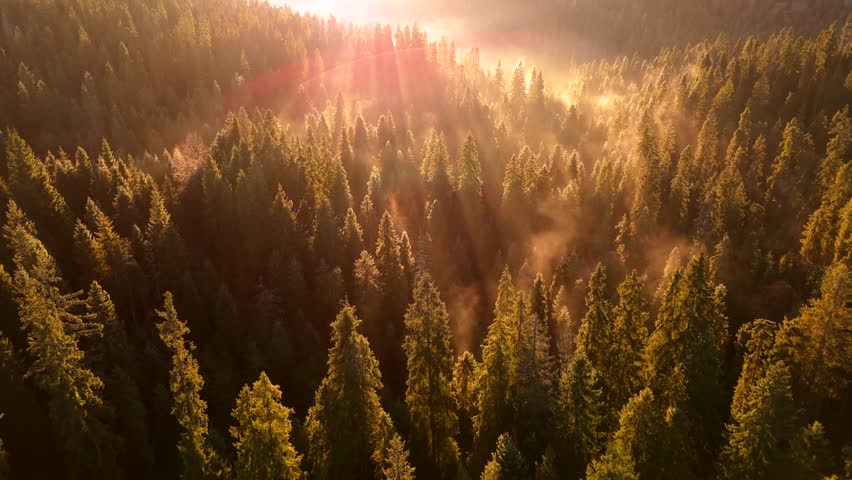 Dawn in the mountains in autumn. Sun rays break through the morning fog.