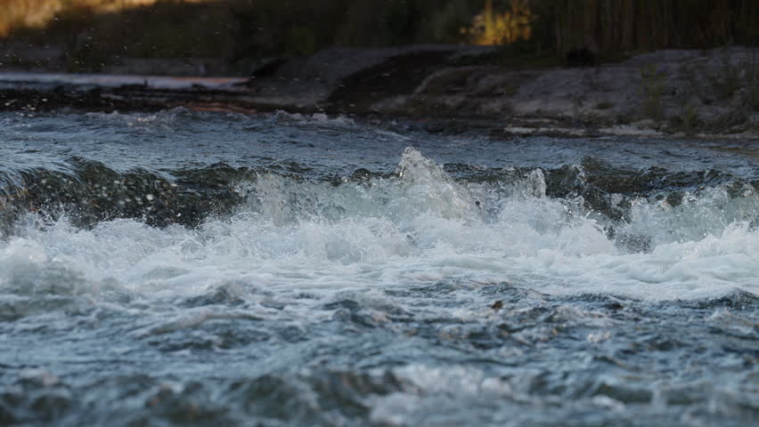 A salmon jumps upstream against the strong current of the Ganaraska River in Port Hope, Ontario. The high frame rate highlights individual droplets of white foam.