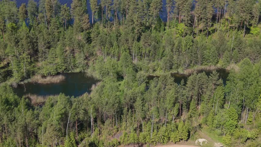Aerial perspective of a dense forest featuring winding ponds and clear blue water, highlighting the beauty of nature in a tranquil setting